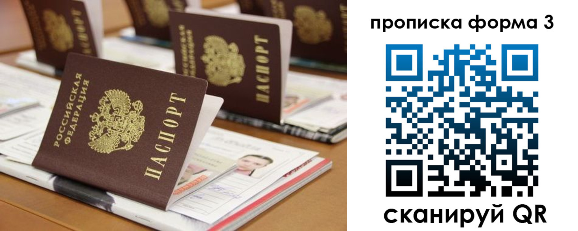 прописка законно в Курске